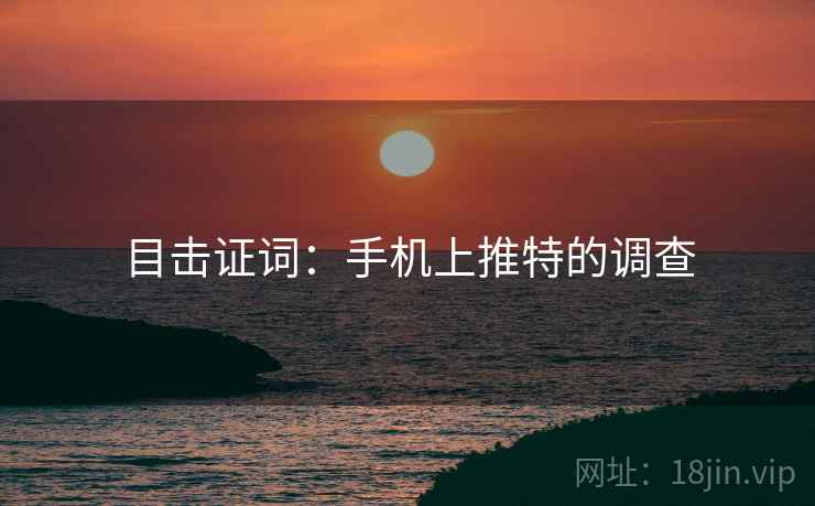 目击证词：手机上推特的调查