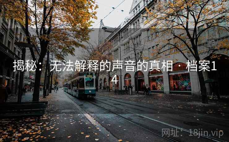 揭秘：无法解释的声音的真相 · 档案14