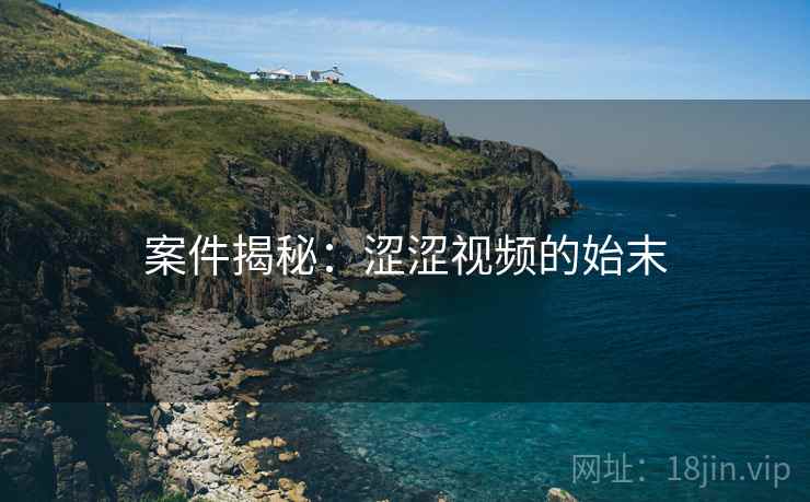 案件揭秘：涩涩视频的始末