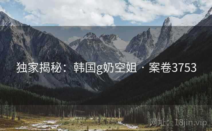 独家揭秘：韩国g奶空姐 · 案卷3753